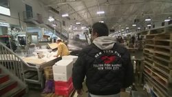 New Fulton fish market: where trading is as fierce and fast as Wall Street News Clip