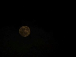 Moon on cloudy night. Stock Footage