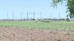 CLEAN : Tensions between Hamas and Israel at Gaza border News Clip