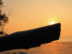 Sunset and timber Stock Footage