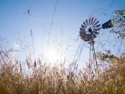 WS LA DS Windmill In Savannah Stock Footage