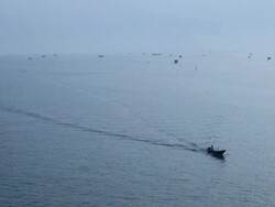 fish farming Stock Footage