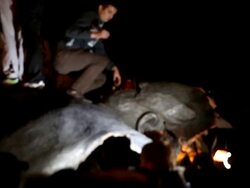 Goodbye Lenin, Ukrainian Nationalists Topple Lenin Statue in Kharkiv. Stock Footage