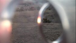 The hole in a predator shield reveals a resting lion. Stock Footage
