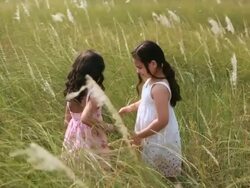Two girls plucking wild grass, Haryana, India Stock Footage