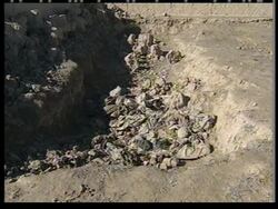 Hazaras claim Taliban massacred thousands News Clip