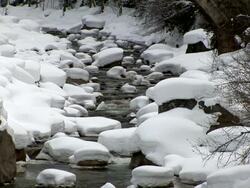River in Spring Time Stock Footage