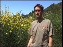 Botanists use cell phones and GPS to monitor invasive species News Clip