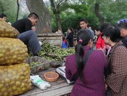 WS Walnut sold in street market/xian,shaanxi,China Stock Footage