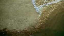 Water Pollution Stock Footage