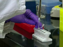 Gas chromatography-mass spectrometry (GCMS), University of Washington, Seattle, USA Stock Footage