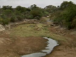 Dried-up river Stock Footage