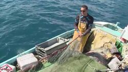 Staying afloat - fishing industry struggles as tourism grows in coastal village News Clip