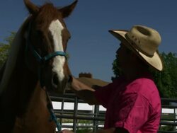 Slow pan of a cowboy petting a skewbald horse Stock Footage