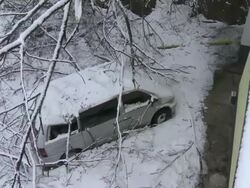 Branches Fell On To A Car Stock Footage