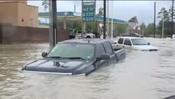 Public Health Dangers Loom in Harvey-Hit Areas News Clip