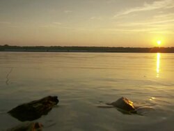 WS View of sunset near mississippi river / Memphis, Tennessee, United States Stock Footage