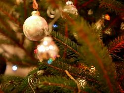 Christmas tree 1 Stock Footage