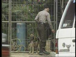 Indonesia - Talks On Trade Liberalisation For APEC Instructional Video