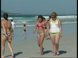 Dead penguins washed up on Rio's beaches News Clip