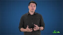 White Sand Beaches: You're Sunbathing on Fish Poop Instructional Video