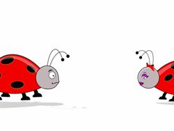 Love at First Sight Stock Footage