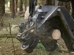  MS TS Harvester at work in forest / Zerf, Rhineland Palatinate, Germany Stock Footage