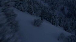 Snow dusts an evergreen forest in the Wasatch Mountains. Stock Footage