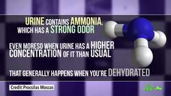 Urinal Cakes: Why? Instructional Video