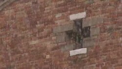 HD: Snow and cross Stock Footage