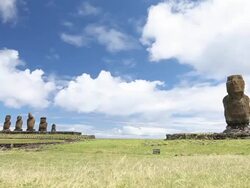 Dolly Shot: Moais in Ahu Tahai Stock Footage