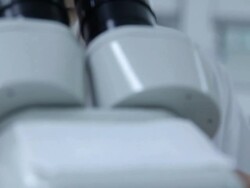 HD : Scientist and Lab experiment Stock Footage