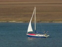 MS AERIAL ZI Shot of sailboat in river / South Carolina, United States Stock Footage