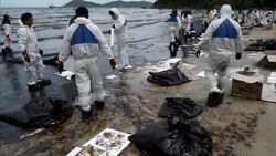 CLEAN : Thai firm understating oil slick fallout: News Clip