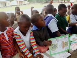 MS Group of eager schoolchildren observing teacher / Save Valley, Southern Zimbabwe, Zimbabwe Stock Footage