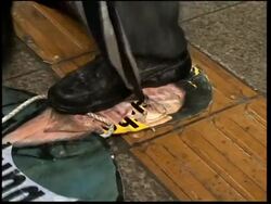 WRAP SKor accepts NKor's proposal for talks on joint industrial complex; Pro-PSI demo News Clip