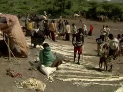 People selling ropes for camels at camel fair Stock Footage