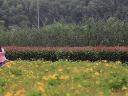 Young women walking in the park Stock Footage