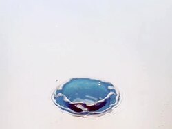 MS SLO MO Shot of drop of water falling into water / Vieux Pont en Auge, Normandy, France Stock Footage