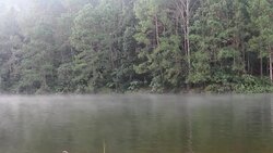 Morning river with fog. Stock Footage