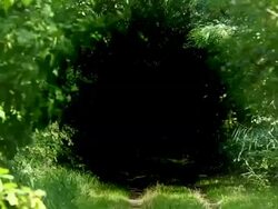 Black hole eats the nature + Audio Stock Footage