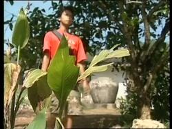 Businesses try to recover from tsunami devastation News Clip