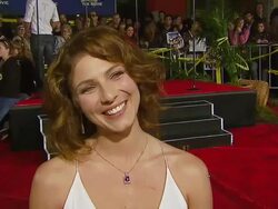 'Reno 911! Miami' Premiere Stock Footage