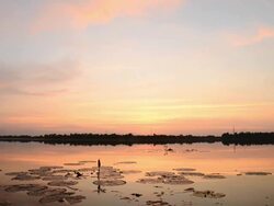 Sunset at lake Stock Footage