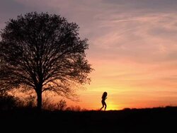 HD: Woman Jogging At Sunset Stock Footage