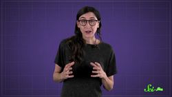 Where Are All the Dinosaur Brains? Instructional Video