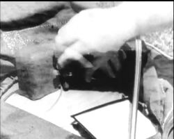 MAN SNATCH! News Clip