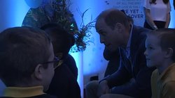 Prince William attends Blue Planet II premiere News Clip