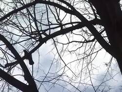 ATMOSPHERE: General Views: 62nd Berlinale International Film Festival on February 8, 2012 in Berlin, Germany. (Footage by WireImage Video/Getty Images) Stock Footage