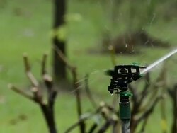 water sprinkler Stock Footage